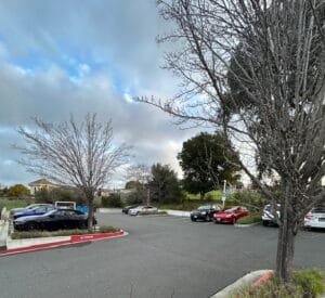 Vallejo Orthodontists 9 IMG_8453